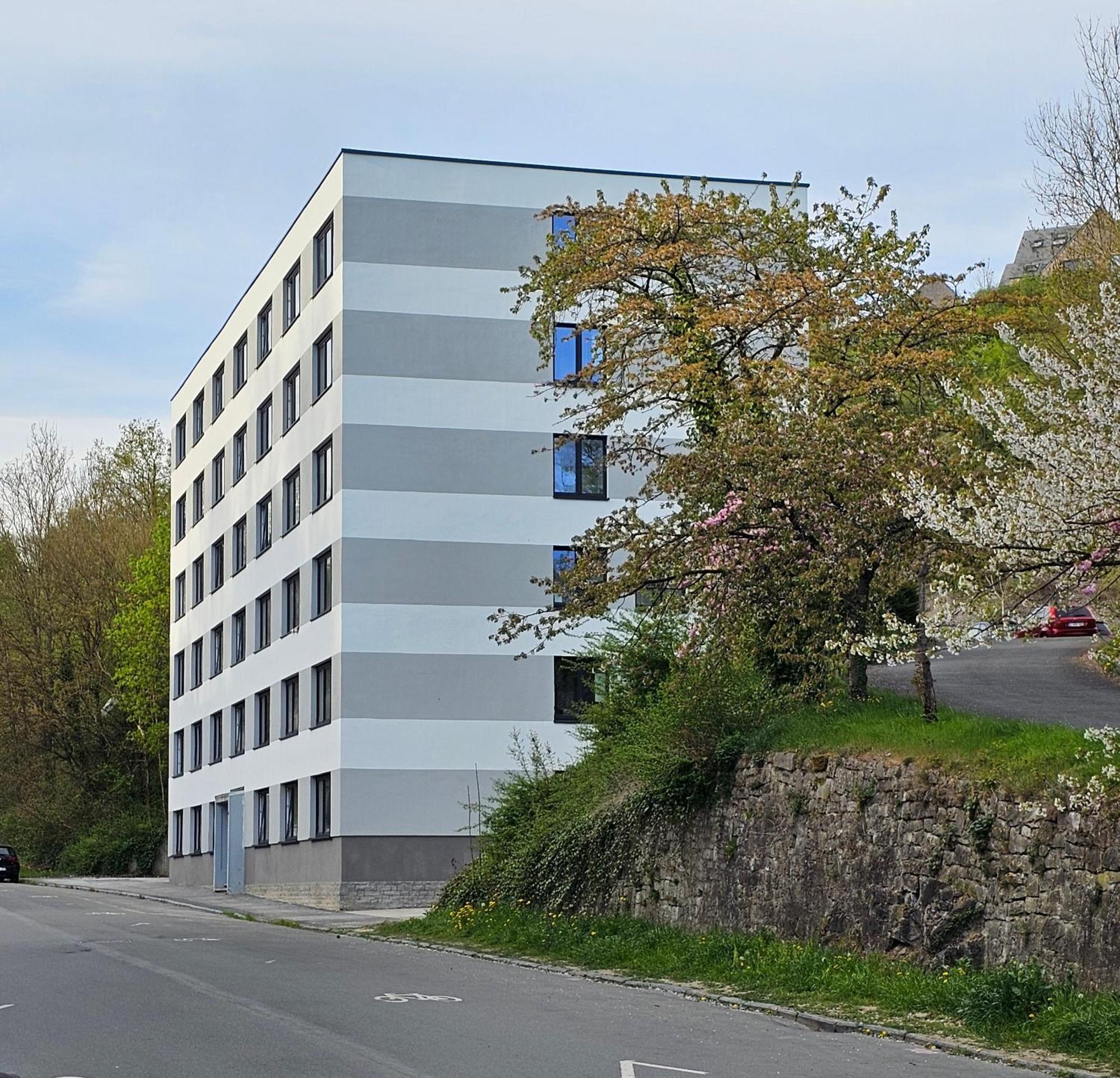 Le Cosy - Queen-Size, Full Equipe, Wifi, Parking Namur Eksteriør billede